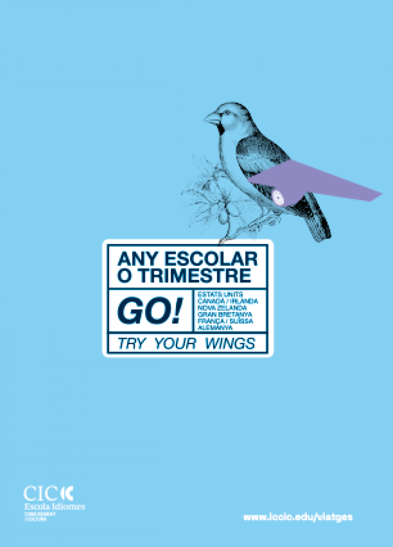 Any Escolar i Trimestre
