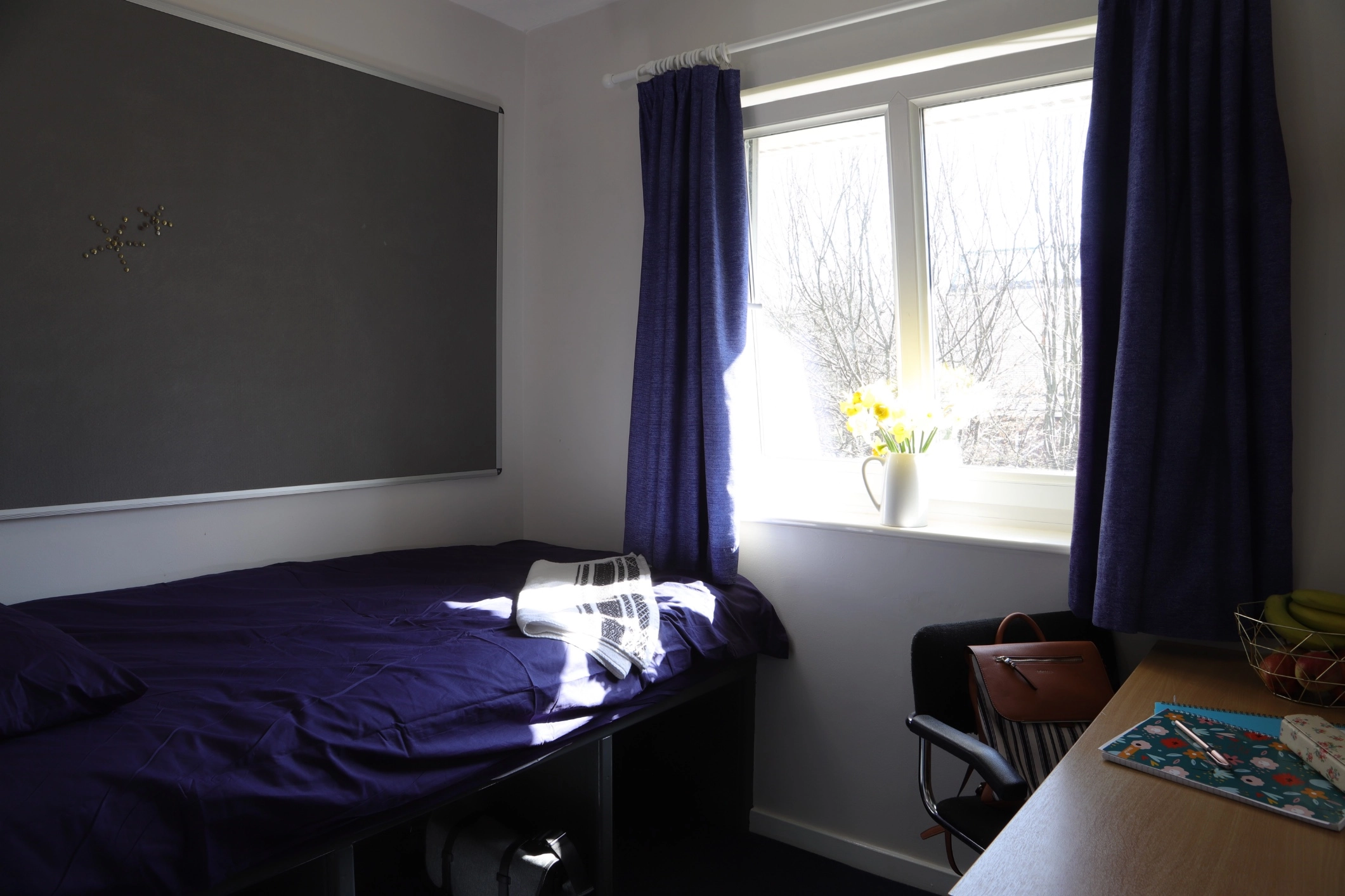 Sussex-Downs-College-Lewes-estudiar-ingles-en-el-extranjero-adultos-study-fuera-a1.webp