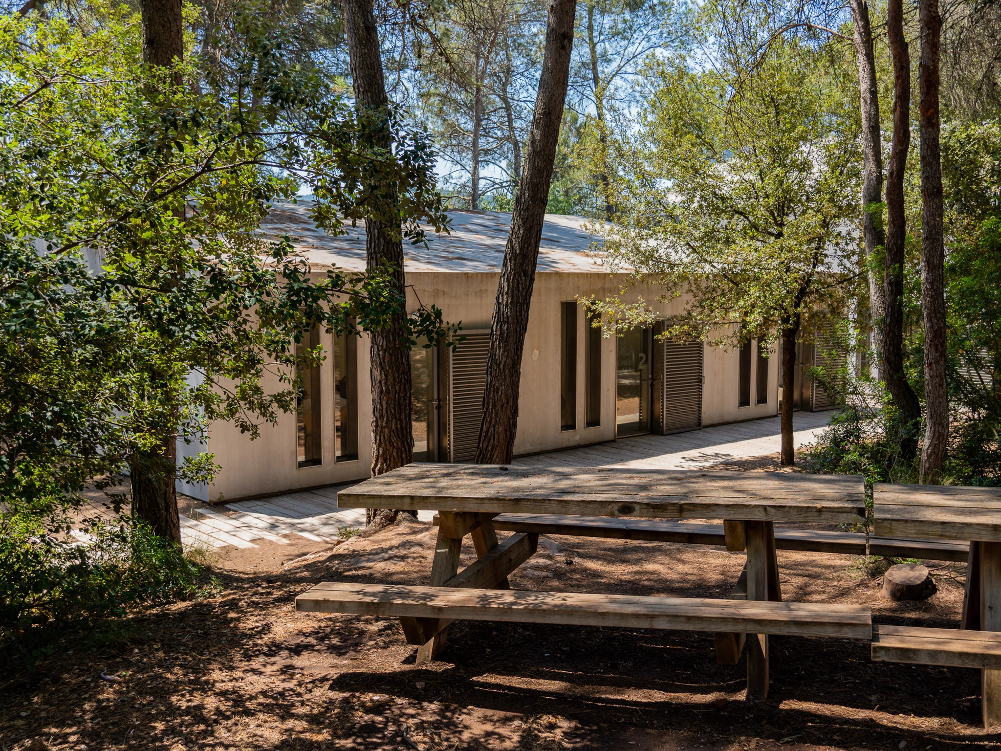 Viladoms-Teens-Camp-campamentos-verano-ingles-british-summer-c3.webp