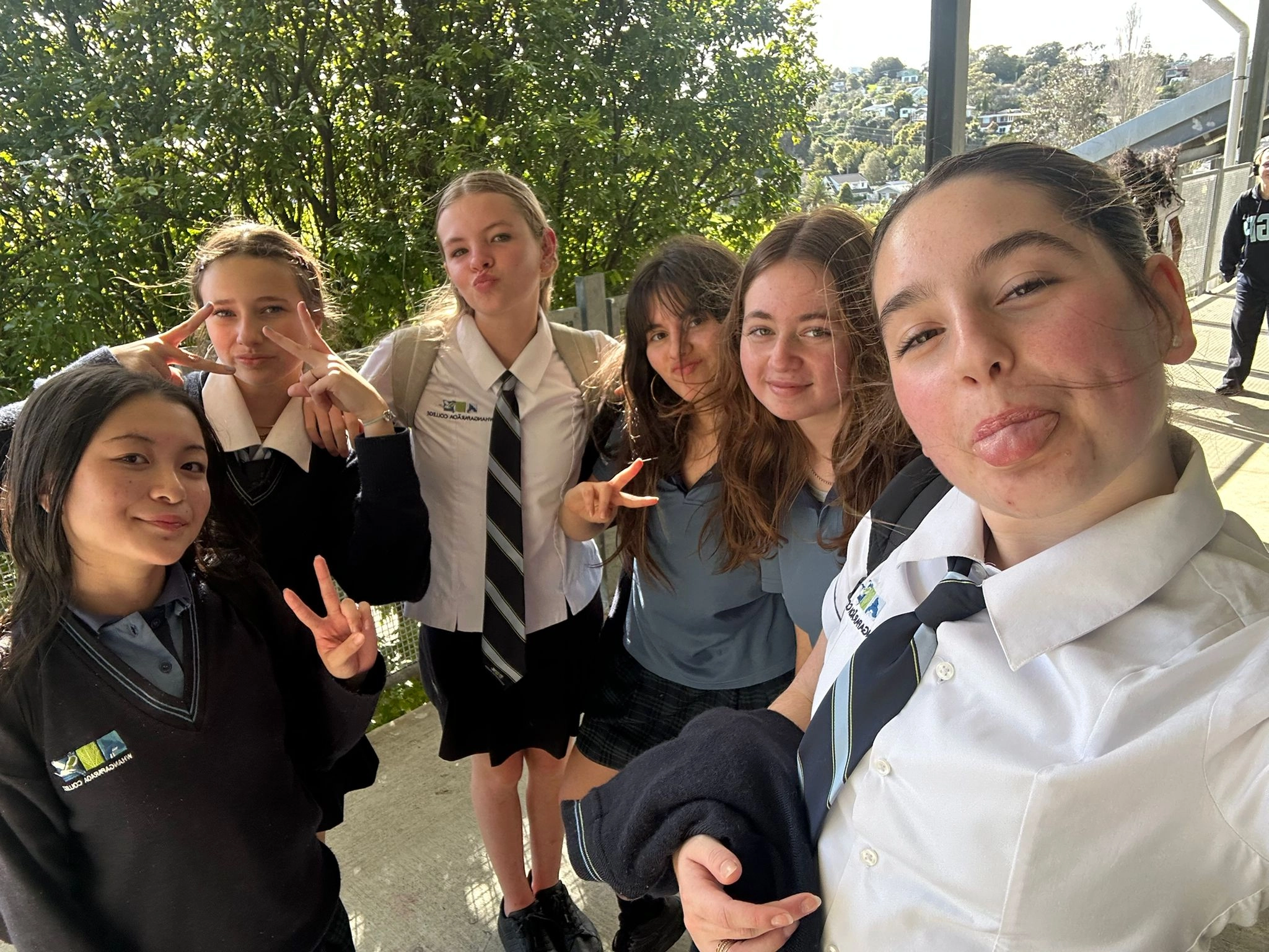 Varias-escuelas-en-Auckland-ano-escolar-en-el-extranjero-british-summer-c5.webp
