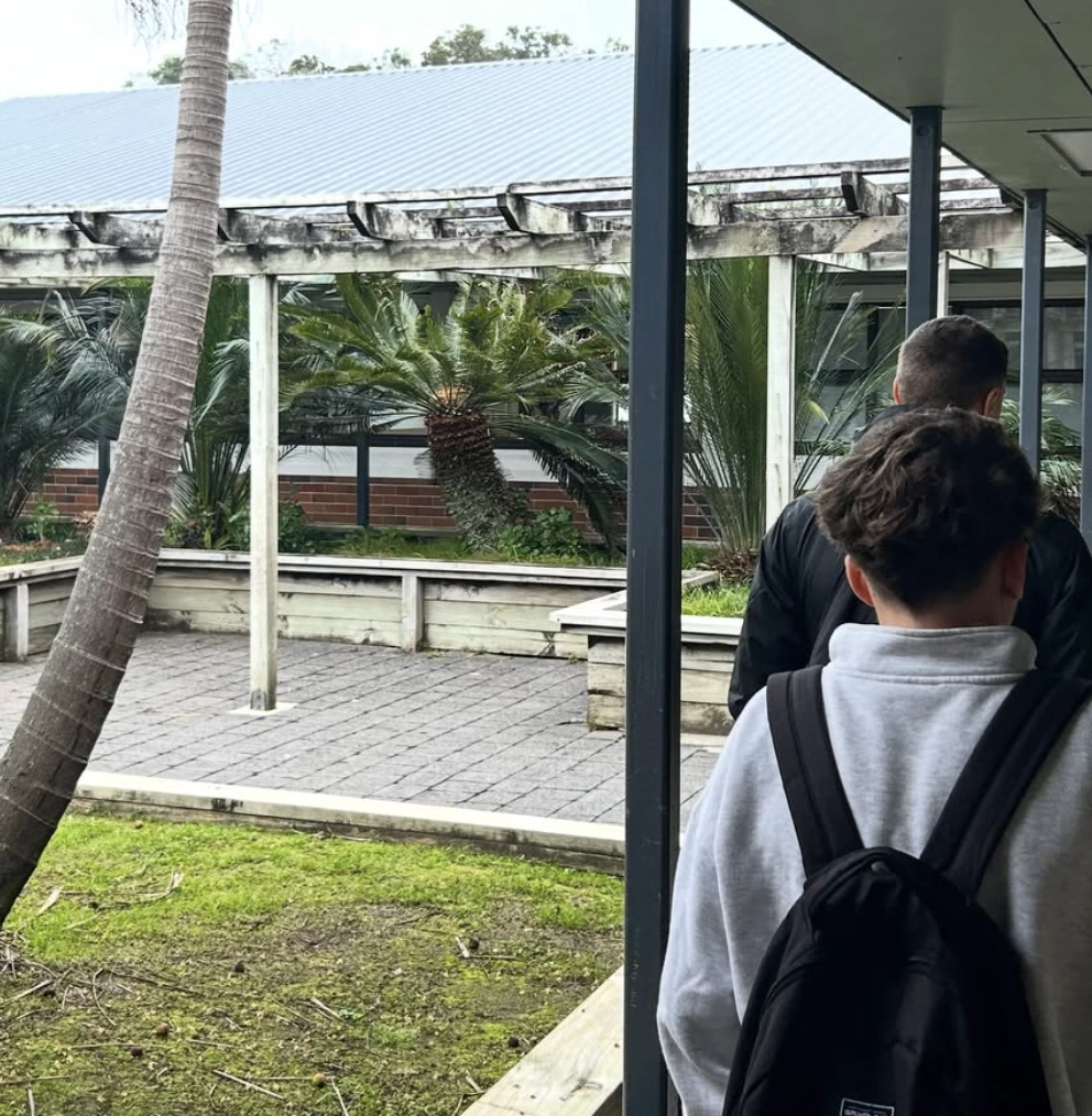 Varias-escuelas-en-Auckland-ano-escolar-en-el-extranjero-british-summer-c11.webp