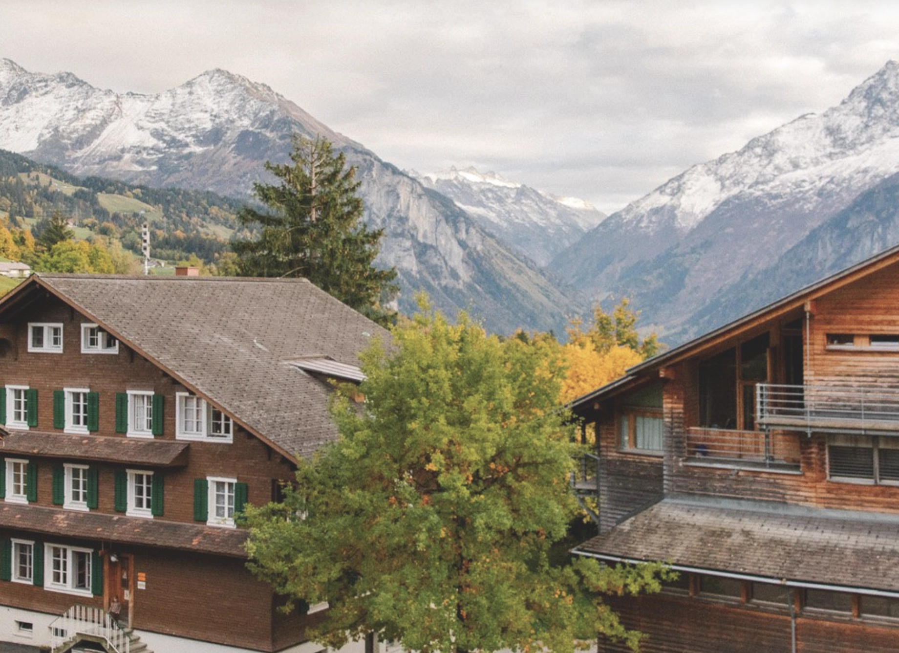 L'Ecole-d'Humanité,-Suiza-ano-escolar-en-el-extranjero-british-summer-c2.webp