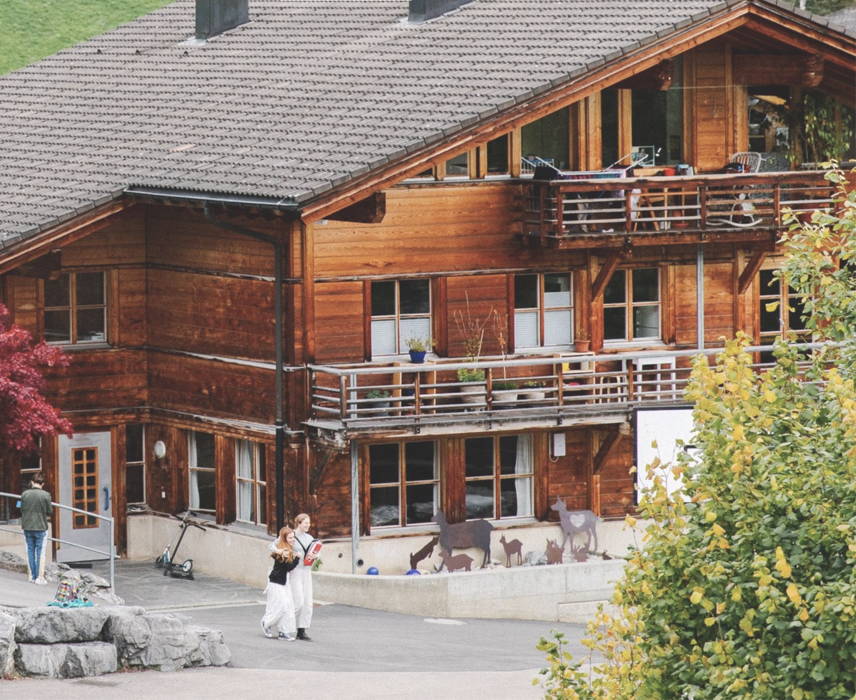 L'Ecole-d'Humanité,-Suiza-ano-escolar-en-el-extranjero-british-summer-c3.webp