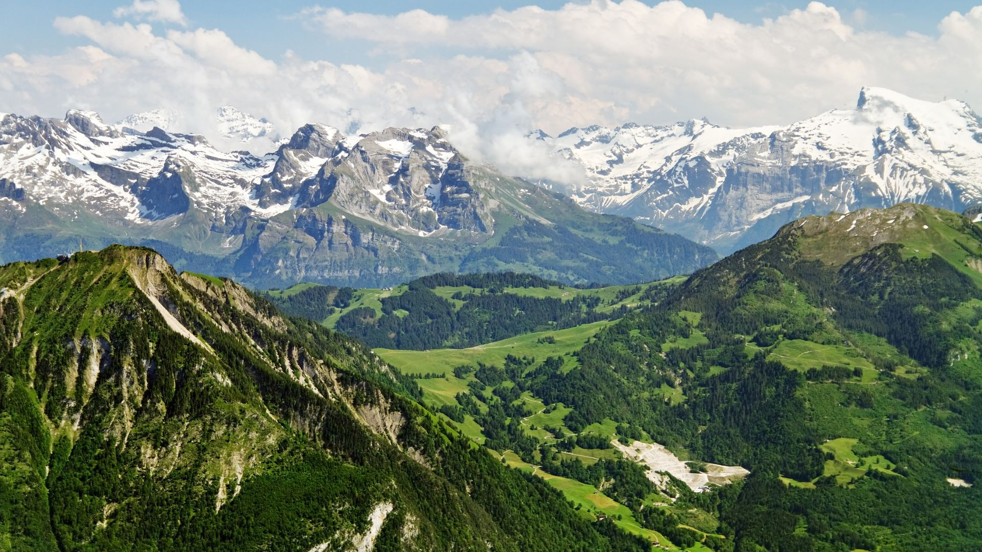 Año Escolar en Ecole d'Humanité, Suiza