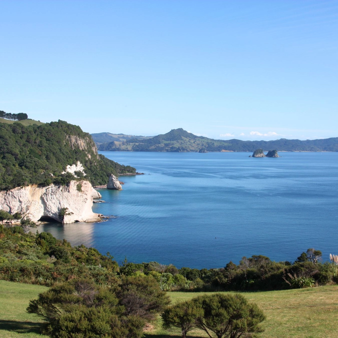 trimestre-escolar-nueva-zelanda-ano-escolar-en-el-extranjero-british-summer-cu2.webp